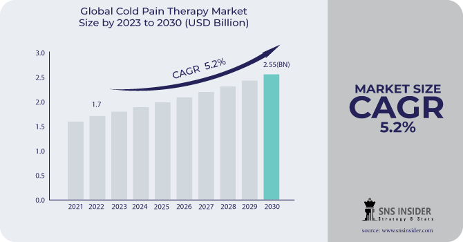 Cold Pain Therapy Market Revenue Analysis