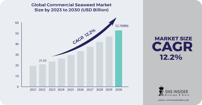 Commercial Seaweed Market Revenue Analysis 