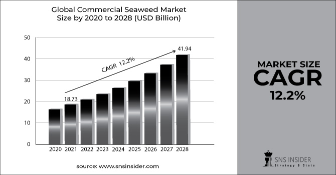 Commercial Seaweed Market Revenue Graph