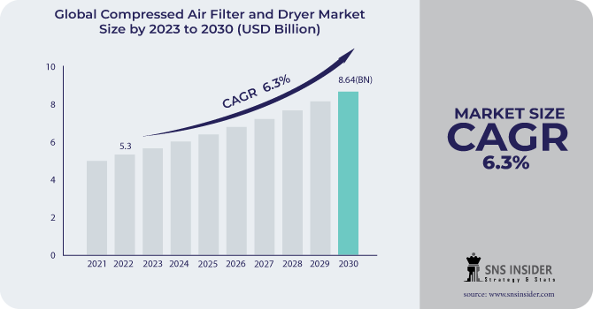 Compressed Air Filter and Dryer Market Revenue Analysis