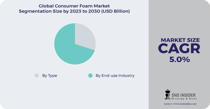 Consumer Foam Market Segmentation Analysis