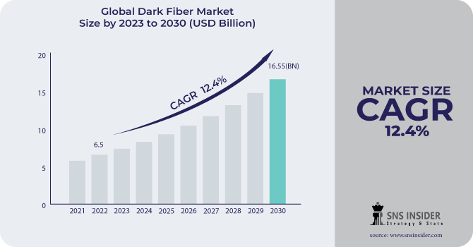 Dark Fiber Market Revenue Analysis