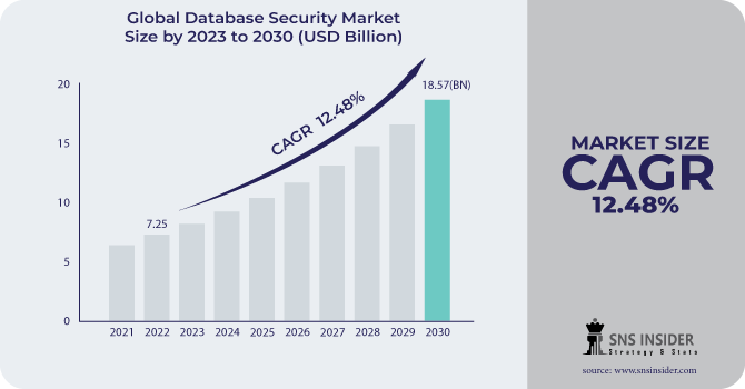 Database Security Market Revenue Analysis