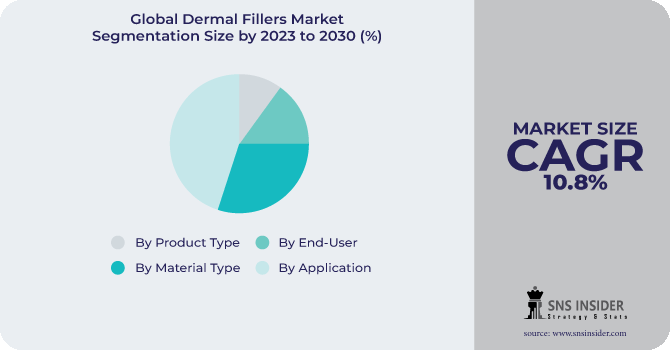 Dermal Fillers Market Segmentation Analysis