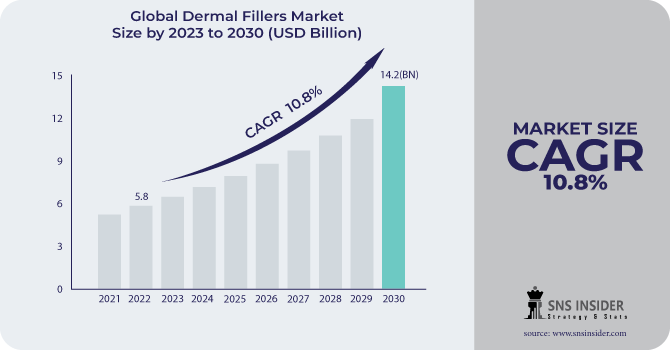 Dermal Fillers Market Revenue Analysis