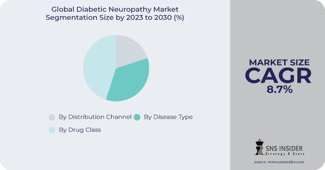 Diabetic Neuropathy Market Segmentation Analysis
