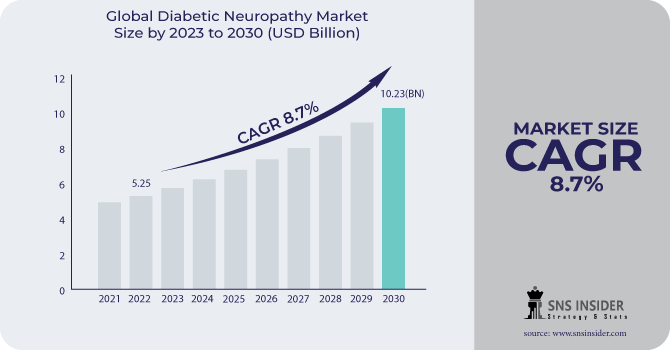 Diabetic Neuropathy Market Revenue Analysis