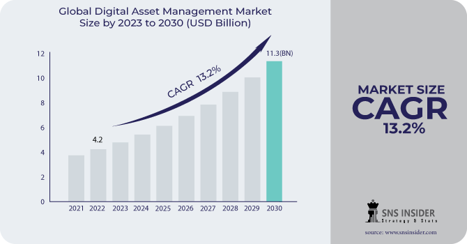 Digital Asset Management Market Revenue Analysis