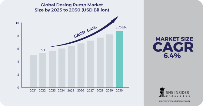 Dosing Pump Market Revenue Analysis