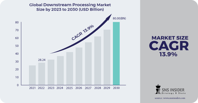 Downstream Processing Market Revenue Analysis