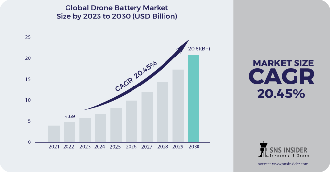 Drone Battery Market Revenue Analysis
