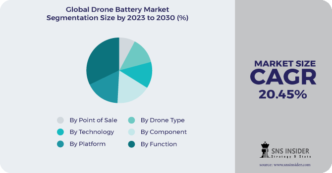 Drone Battery Market Segmentation Analysis