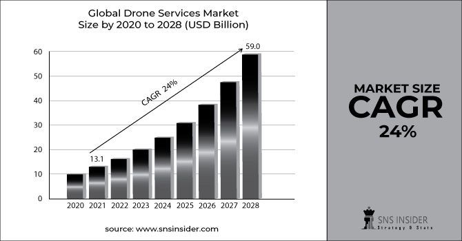 Drone Services Market Revenue Graph