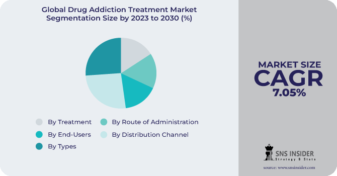 Drug Addiction Treatment Market Segmentation Analysis