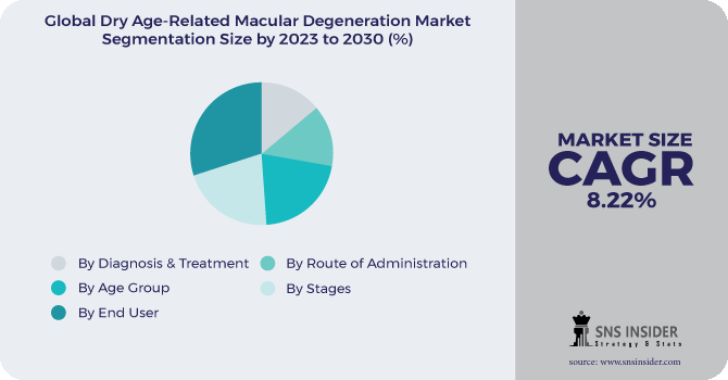 Dry Age-Related Macular Degeneration Market Segmentation Analysis