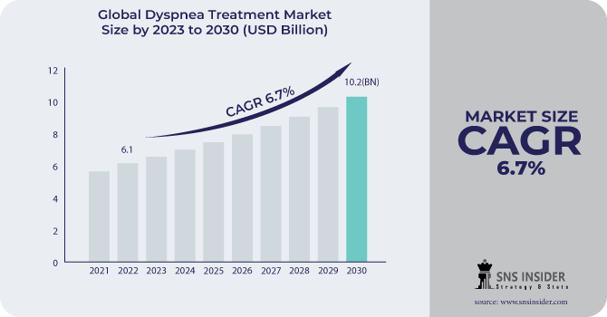 Dyspnea Treatment Market Revenue Analysis