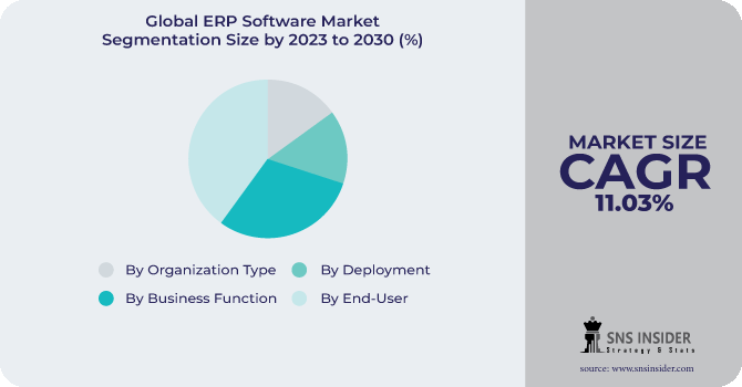 ERP Software Market Segmentation Analysis