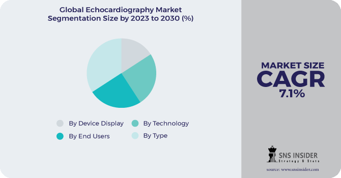 Echocardiography market Segmentation Analysis