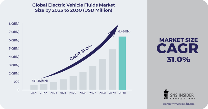 Electric Vehicle Fluids Market Revenue Analysis