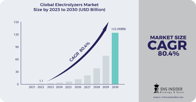 Electrolyzers Market Revenue Analysis