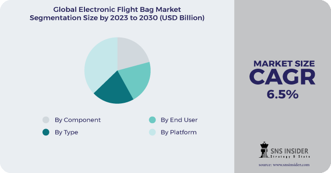 Electronic Flight Bag Market Segmentation Analysis