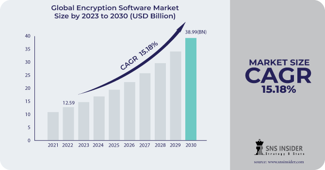 Encryption Software Market Revenue Analysis