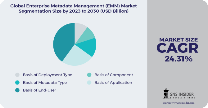 Enterprise Metadata Management (EMM) Market Segmentation Analysis