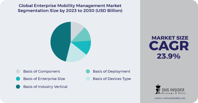 Enterprise Mobility Management Market Segmentation Analysis