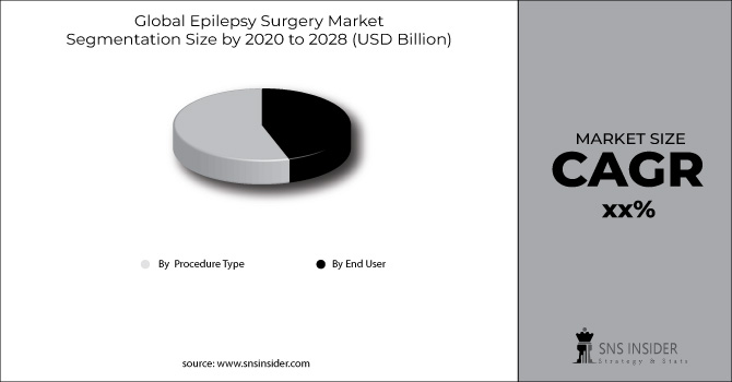 Epilepsy Surgery Market Segment Chart