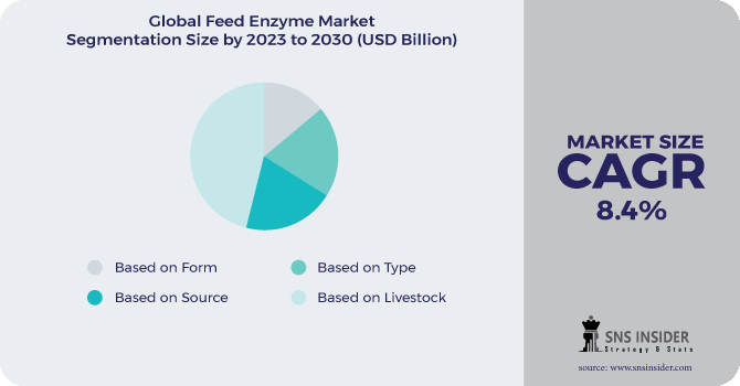 Feed Enzyme Market Segmentation Analysis