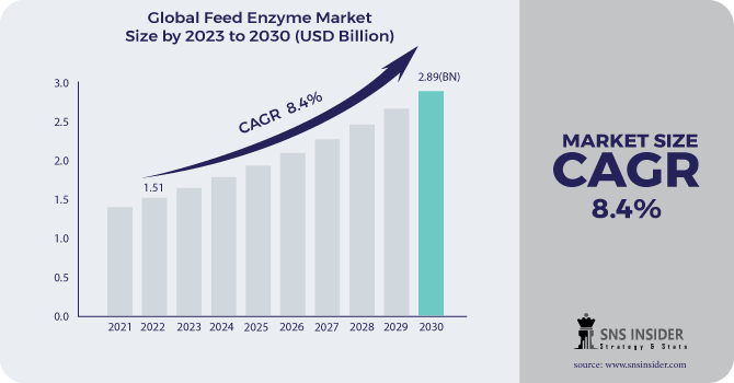 Feed Enzyme Market Revenue Analysis