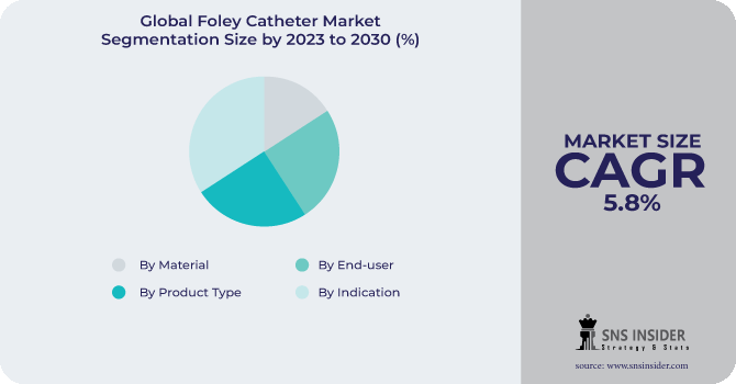 Foley Catheter Market Segmentation Analysis