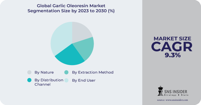Garlic Oleoresin Market Segmentation Analysis