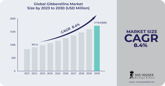 Gibberellins Market Revenue Analysis