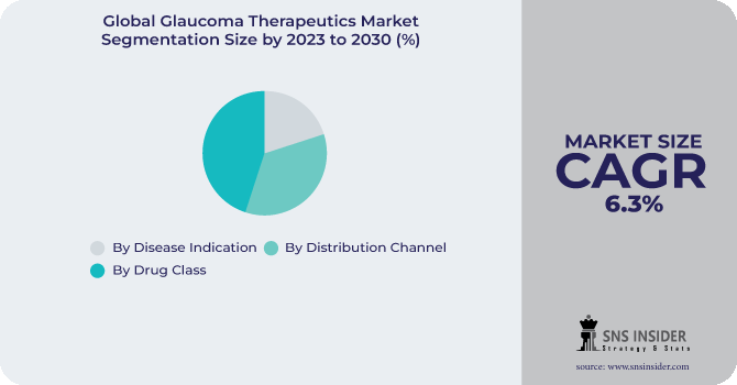 Glaucoma Therapeutics Market Segmentation Analysis