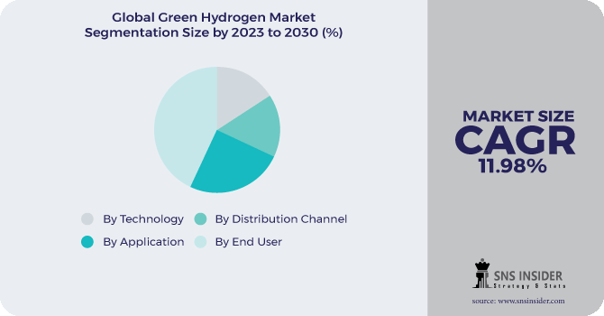 Green Hydrogen market Segmentation Analysis