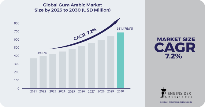 Gum Arabic Market Revenue Analysis