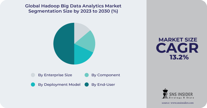 Hadoop Big Data Analytics Market Segmentation Analysis