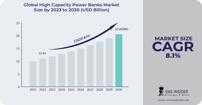 High Capacity Power Banks Market Revenue Analysis