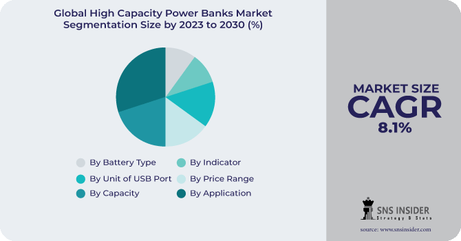 High Capacity Power Banks Market Segmentation Analysis