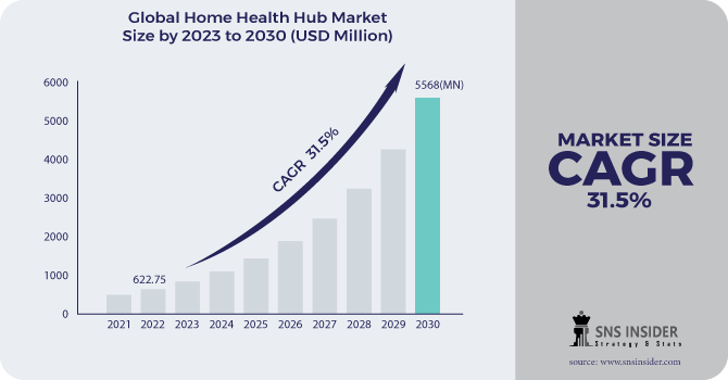 Home Health Hub Market Revenue Analysis
