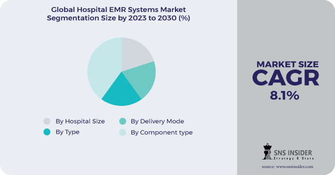 Hospital EMR Systems Market Segmentation Analysis