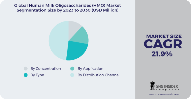 Human Milk Oligosaccharides (HMO) Market Segmentation Analysis