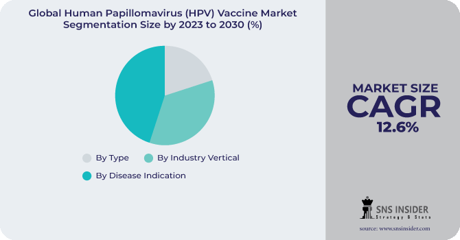 Human Papillomavirus (HPV) Vaccine Market Segmentation Analysis
