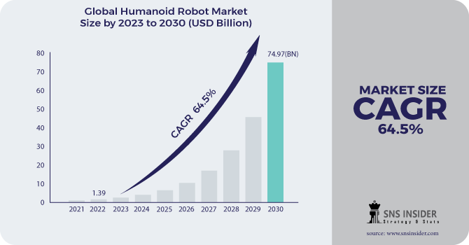 Humanoid Robot Market Revenue Analysis