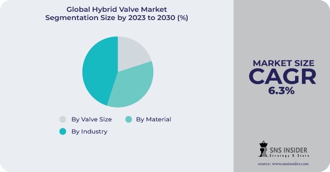 Hybrid Valve Market Segmentation Analysis