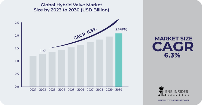 Hybrid Valve Market Revenue Analysis