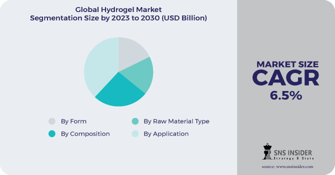 Hydrogel Market Segmentation Analysis