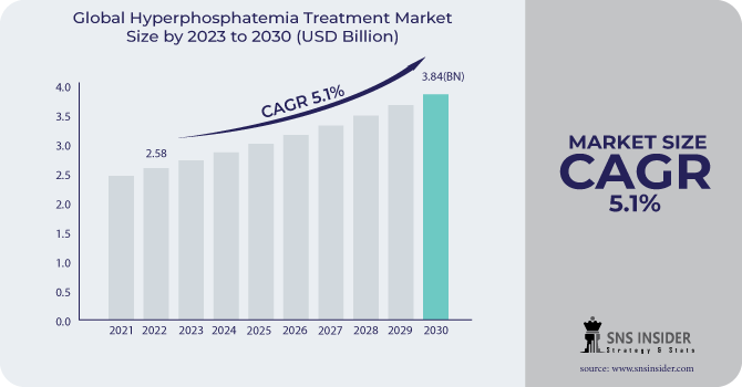 Hyperphosphatemia Treatment Market Revenue Analysis