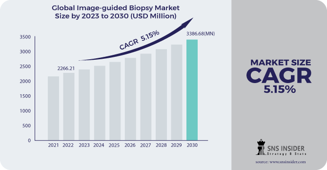 Image-guided Biopsy Market Revenue Analysis